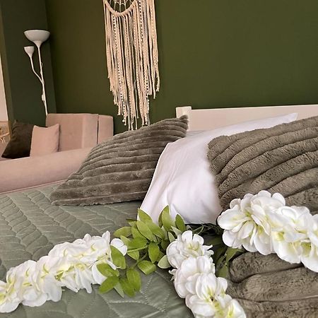 Apartament Na Starowce Boho ชิชเชนา ภายนอก รูปภาพ