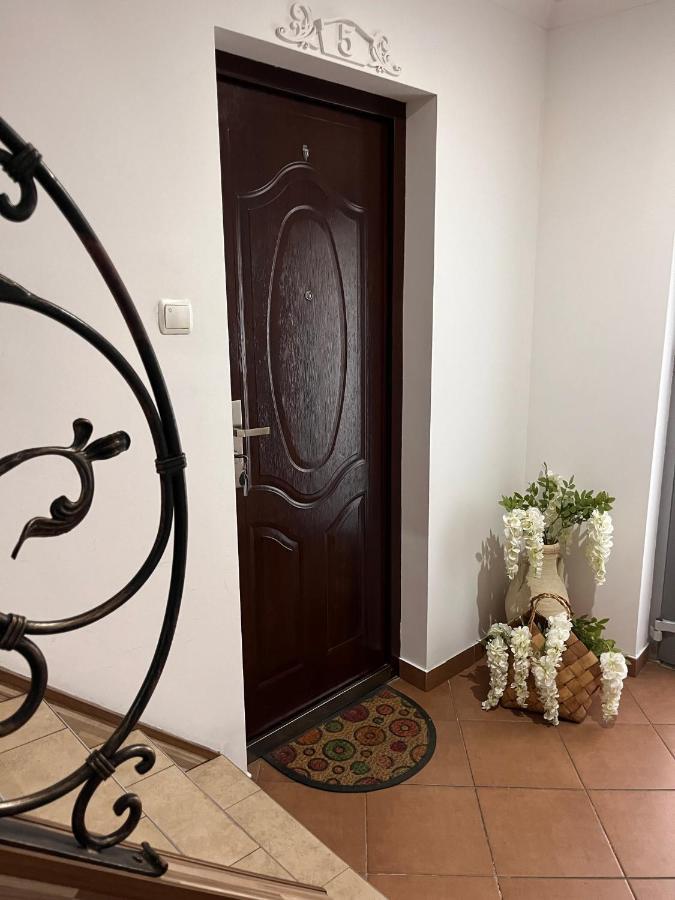 Apartament Na Starowce Boho ชิชเชนา ภายนอก รูปภาพ