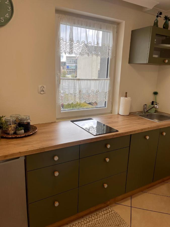 Apartament Na Starowce Boho ชิชเชนา ภายนอก รูปภาพ
